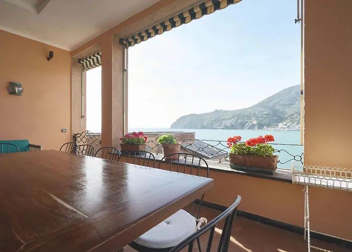 Pedra * Λεβάντο